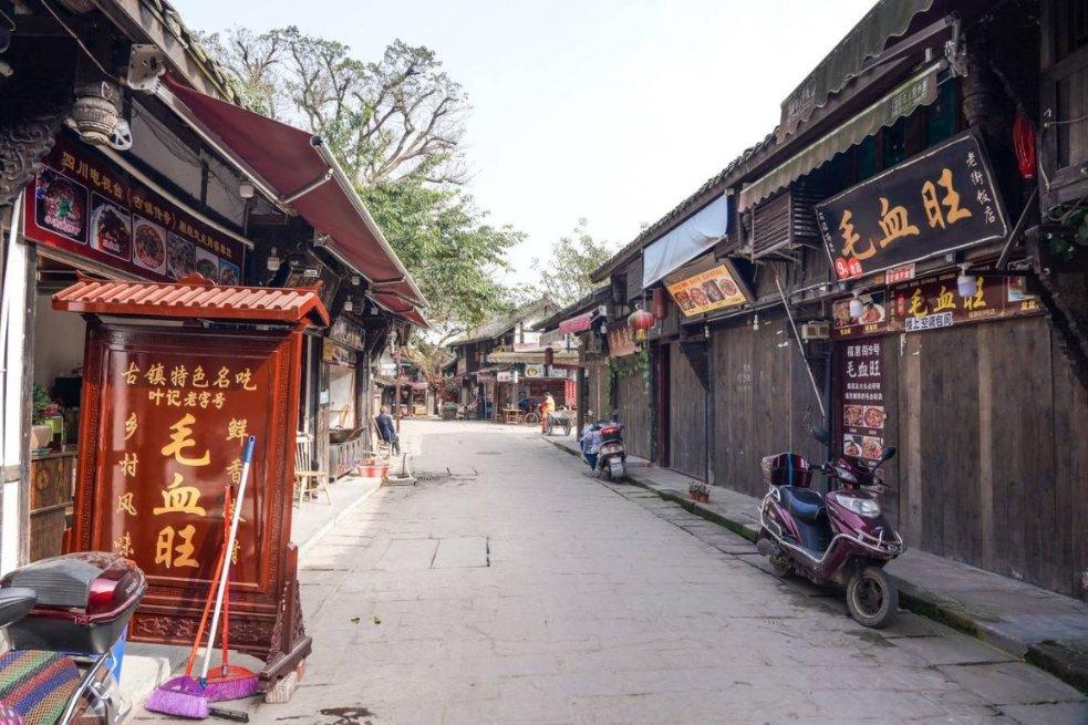 他将枯萎的树根、路边的石头赋予了“生命”